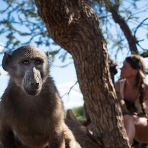 Namibia Wildlife Sanctuary