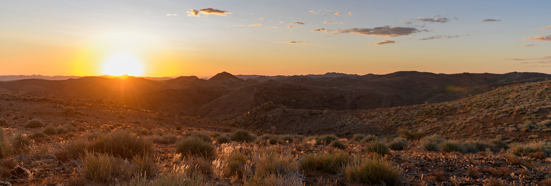 "Thank You To The Great Projects For A Truly Great Project!" - Read Sue's Experience Of The Desert Elephants In Namibia