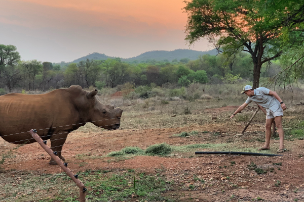 Rhino Care