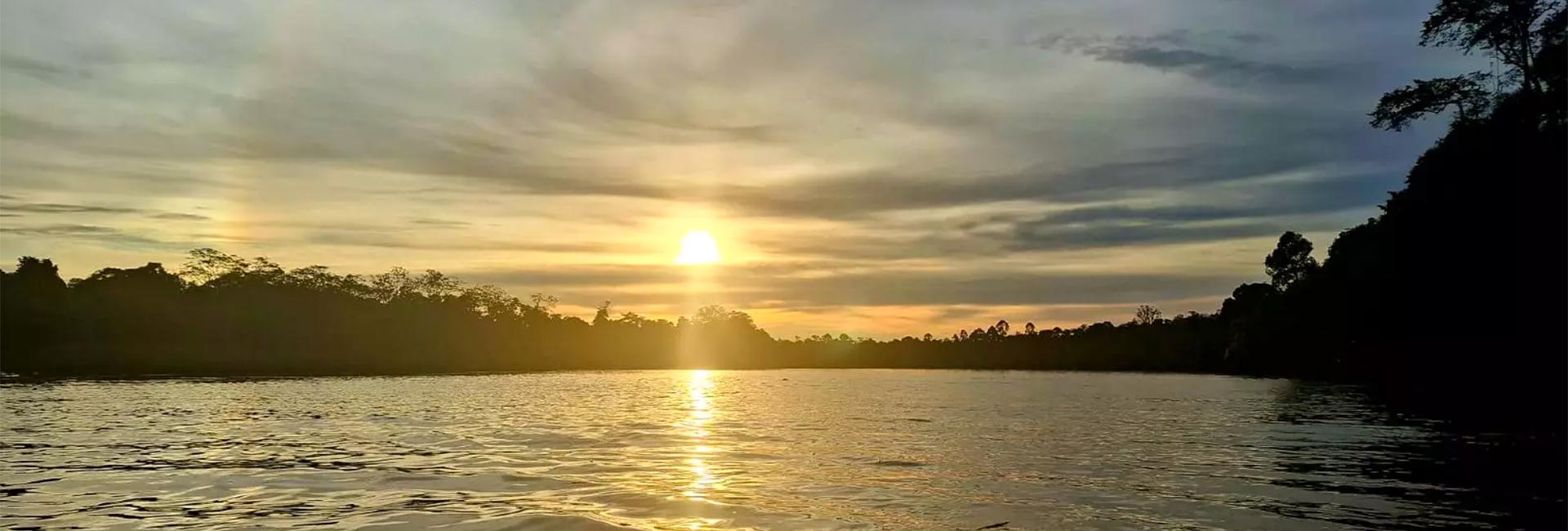 Dawn's Orangutan and Pygmy Elephant Adventure