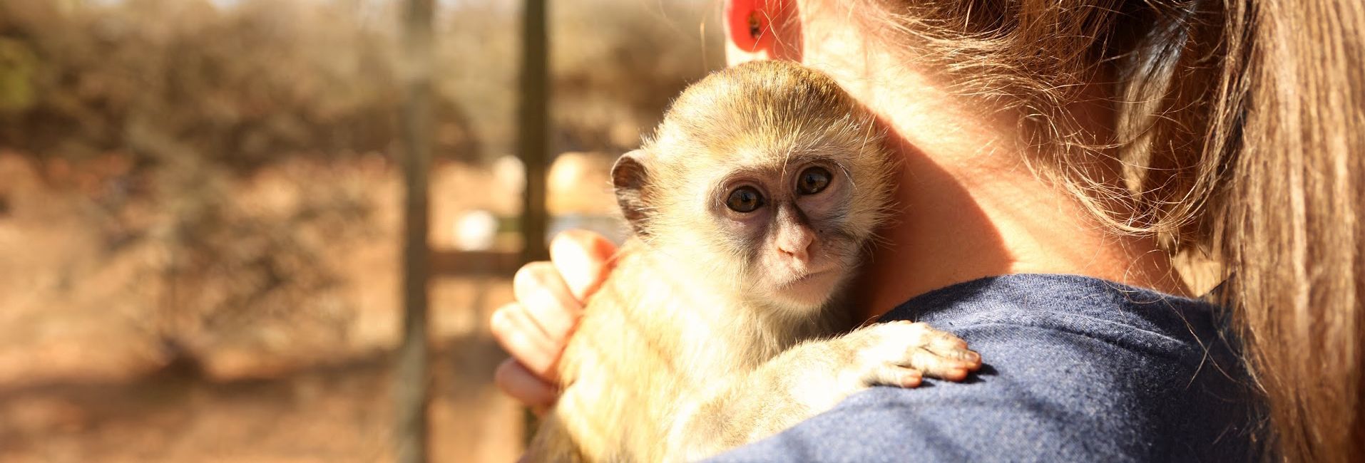 The Human Hiatus - Why  The World Needs More Volunteers! 