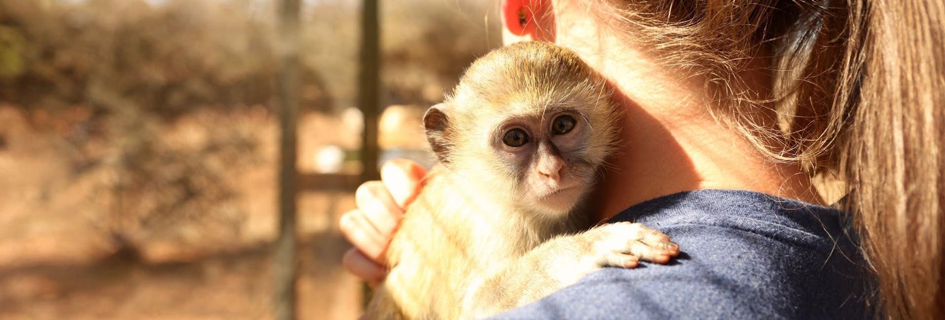 The Human Hiatus - Why  The World Needs More Volunteers!