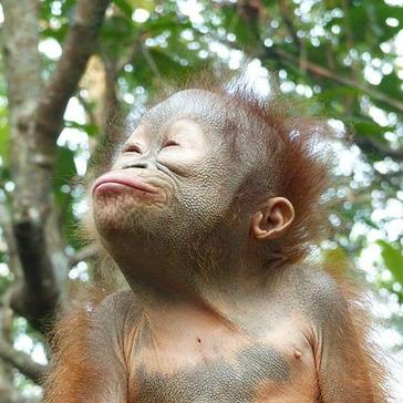Volunteering In Malaysia!