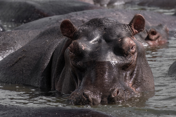 Lake Mburo National Park