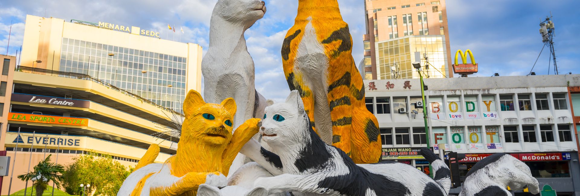 Things To Do During Your Free Time At The Great Orangutan Project