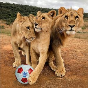 Three Lions Badge: What Is the Story Behind England’s Football Emblem?