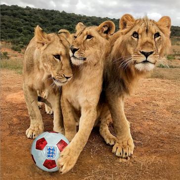 Three Lions Badge: What Is the Story Behind England’s Football Emblem?