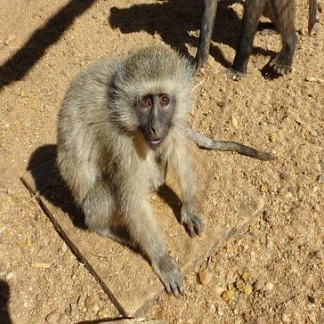 Nikita in Namibia - Day 7