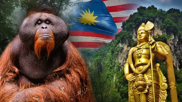 Volunteer in Malaysia