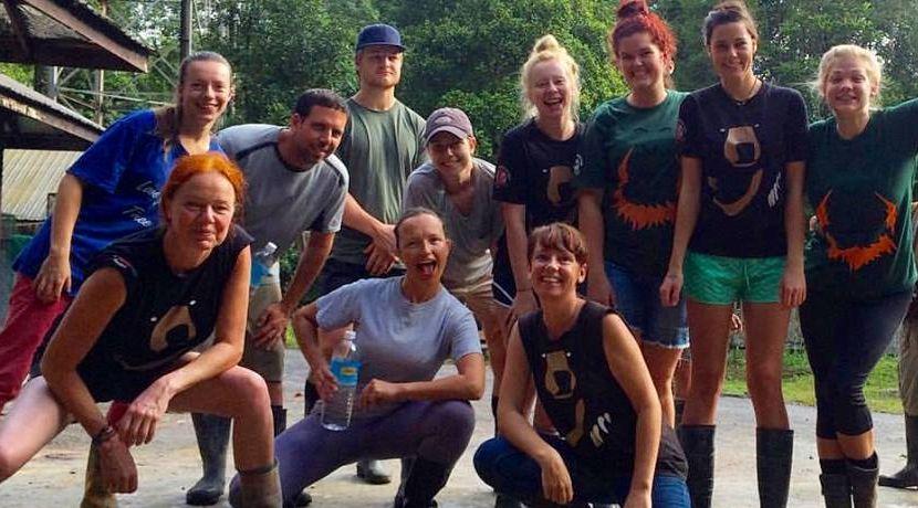 The Great Orangutan Project Reviews