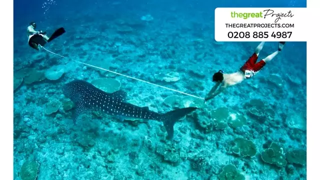 Volunteer in the Maldives