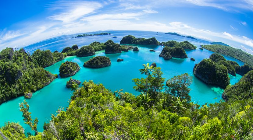 Why you should NEVER go diving in Raja Ampat