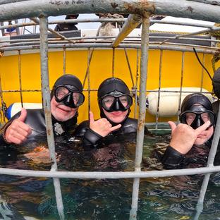 2025 Shark Sightings: Insights from The Great Shark Project