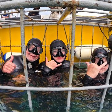 2025 Shark Sightings: Insights from The Great Shark Project