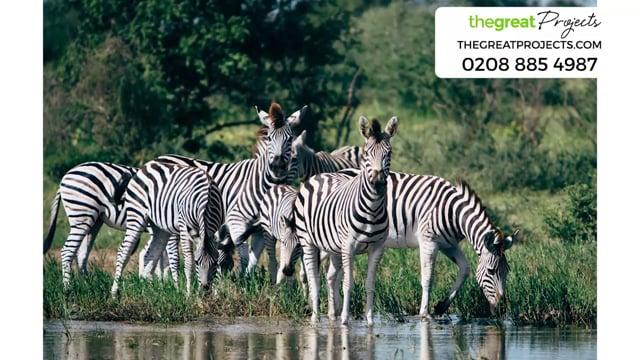 Volunteer In Botswana