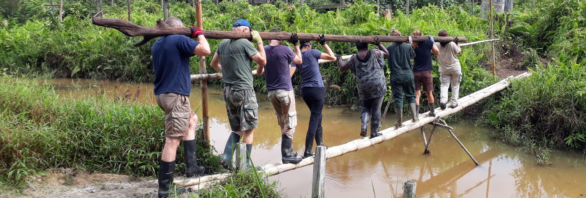 Nervous About Joining The Samboja Lestari Orangutan Project? Worry No More - You Can Now 'Meet' The Team!