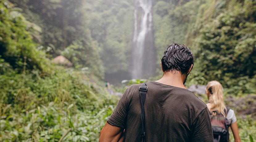 The Great Escape - Why Choose A Wildlife Volunteering Experience For Your Next Holiday?