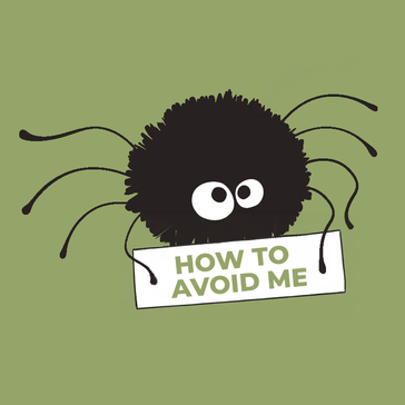 Spiders: Can You Avoid Them While Travelling?