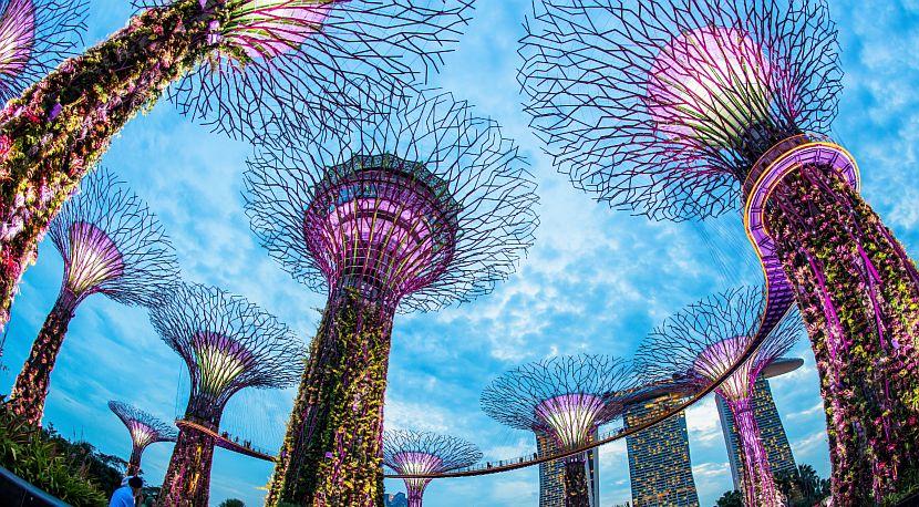 The World's Greenest Cities