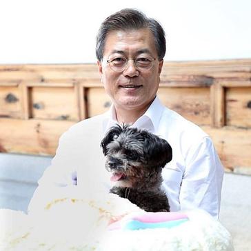 Animal Adoption, Fantastic Fundraisers, And An Unlikely Alliance – July’s News In Review!