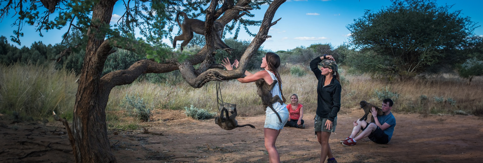 How Volunteering With Animals In Namibia Will Change Your Life!