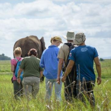 Check Out The Latest Rhino and Elephant Conservation Project Volunteer Reviews!