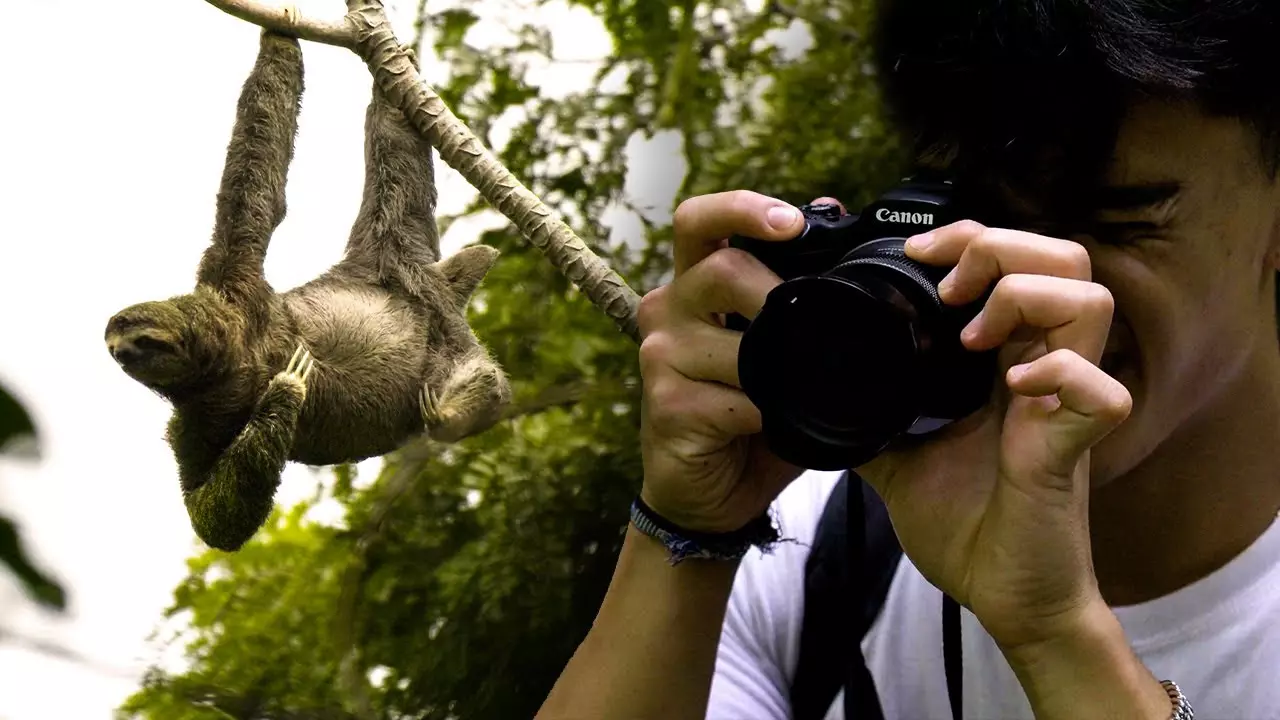 Sloth Conservation and Wildlife Experience Project Video