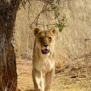 My Namibian Experience As A Mature Volunteer