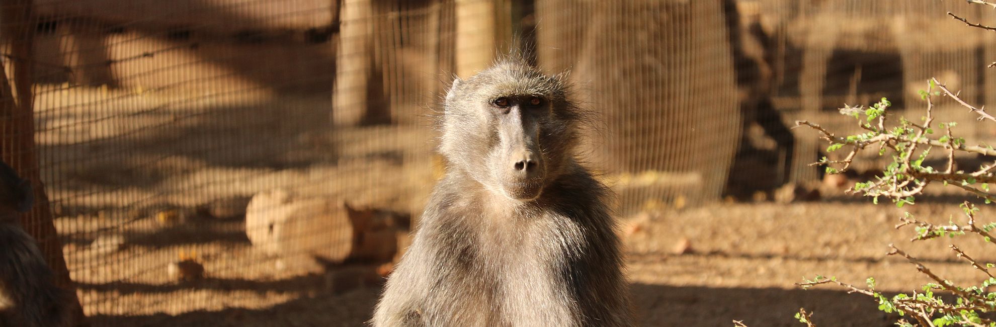 Never Give Up - Hope's Story!