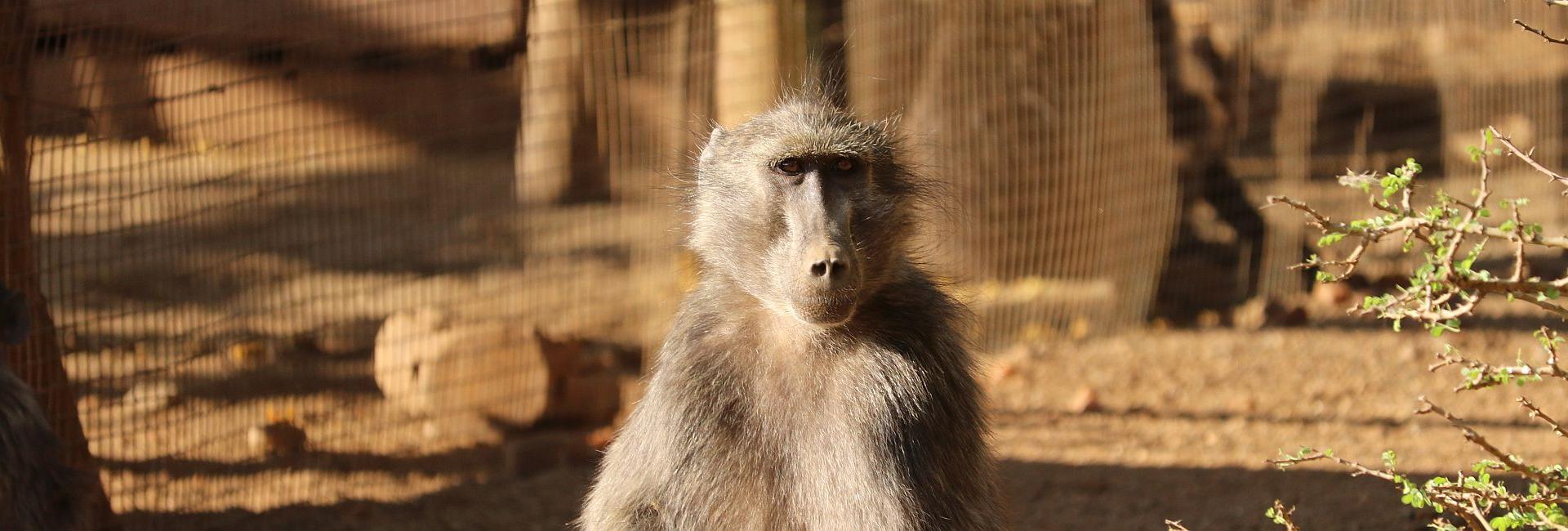 Never Give Up - Hope's Story!