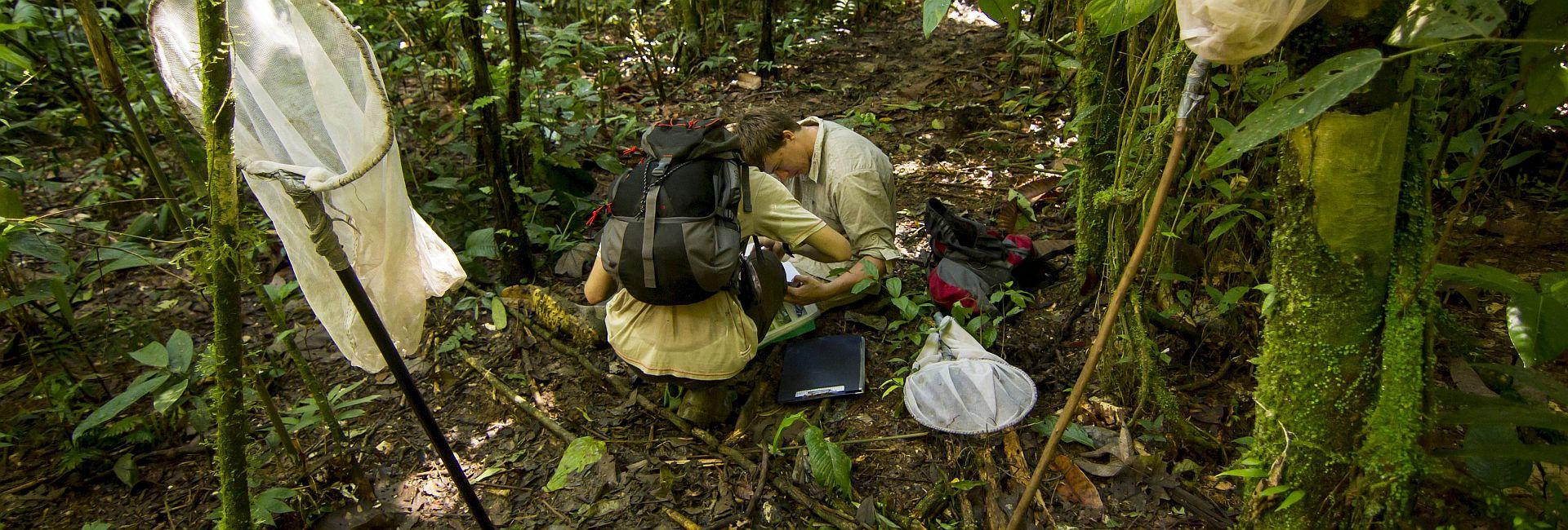 Volunteer Week! What Could You Be Up To If You Book A Last Minute Volunteer Trip?