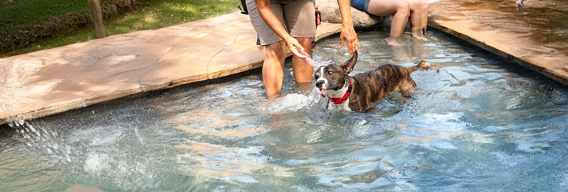 June's News In Review - Catch Up On The Animal Stories From Around The Globe!