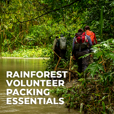 Essentials for Volunteering in the Rainforest!