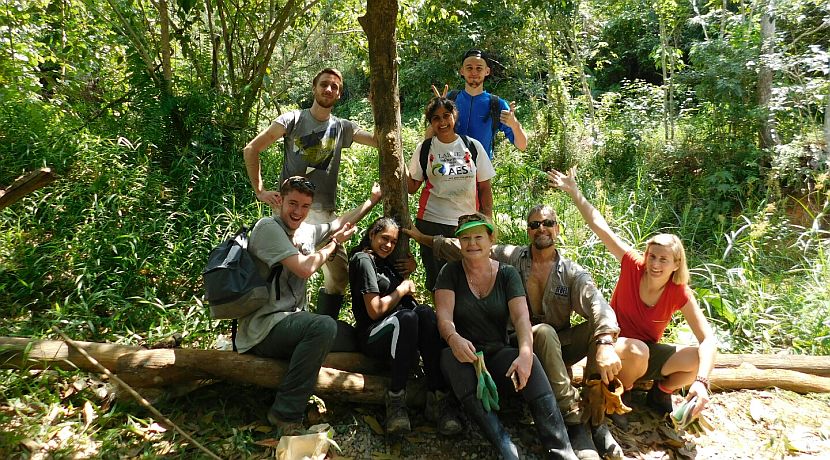 Samboja Lestari Update - What Have The Volunteers Been Doing?