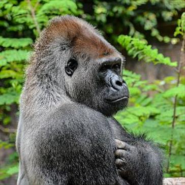 National Wildlife Day!