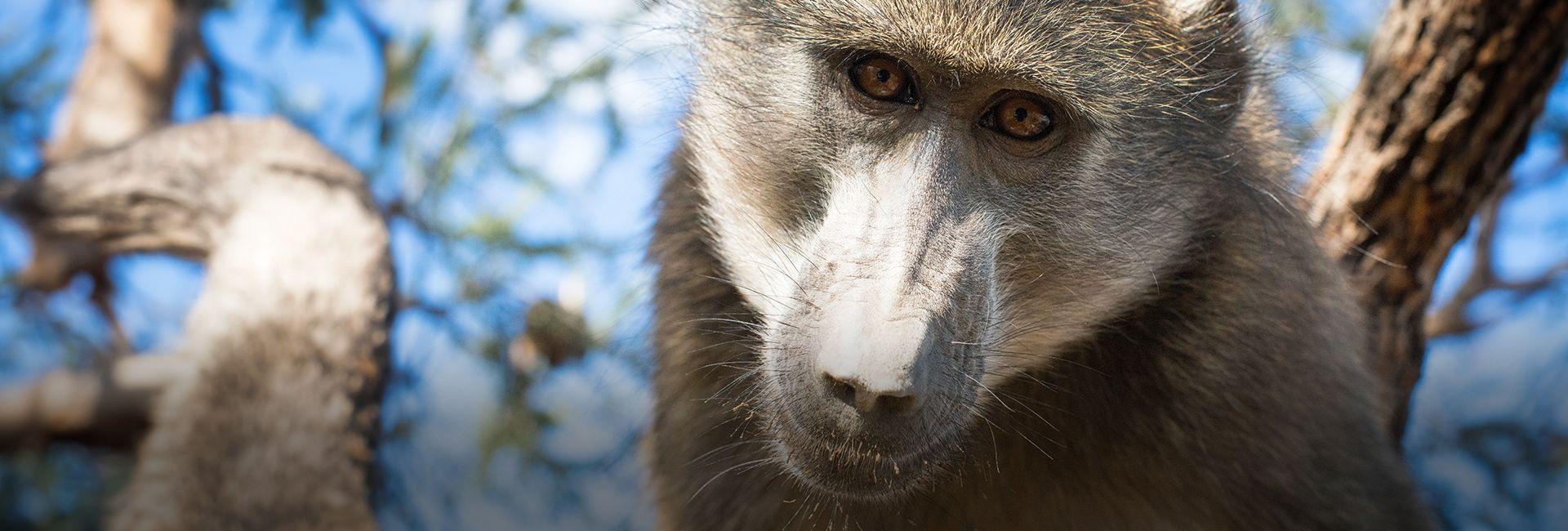 Namibia Wildlife Sanctuary