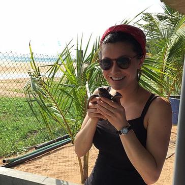 Read A Volunteer Experience On The Great Turtle Project!