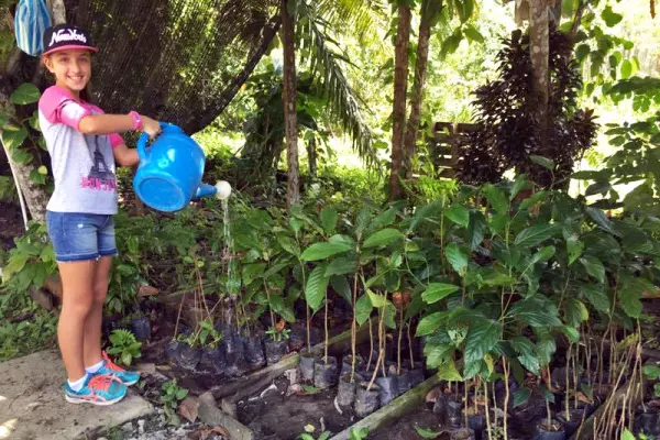 Habitat Restoration on a Family Volunteering Project in Borneo