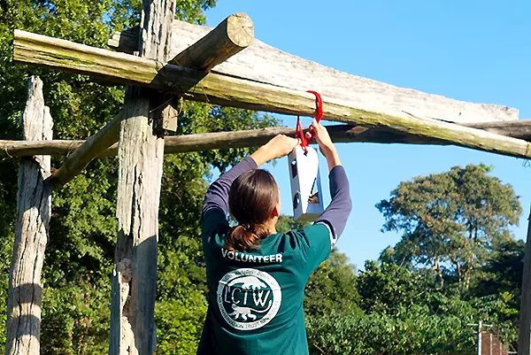 Volunteers Creating Enrichment at the Laos Wildlife Sanctuary