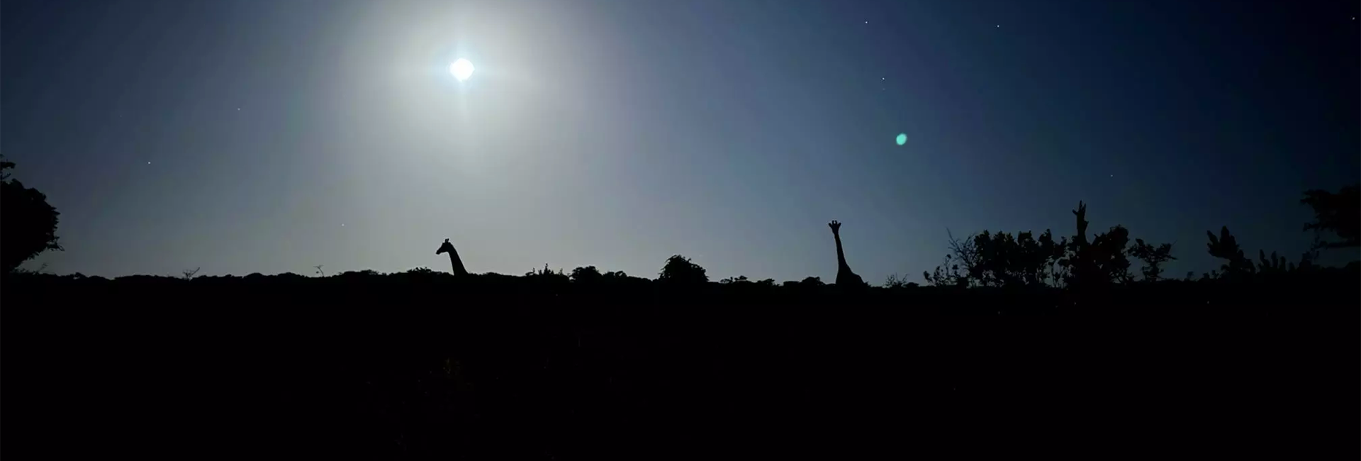 Return Volunteer Antony Shares His Unforgettable Amakhala Experience