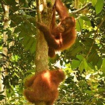 Ting San and Ali Out by the Orangutan Sanctuary 