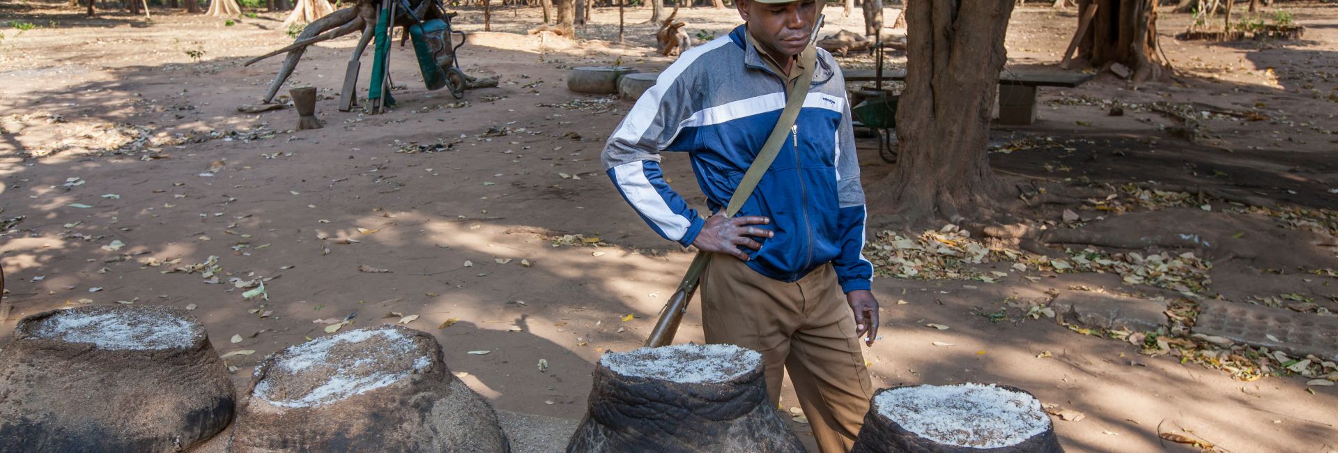 Should South Africa Adopt A Shoot-To-Kill Policy To Protect Its Wildlife?