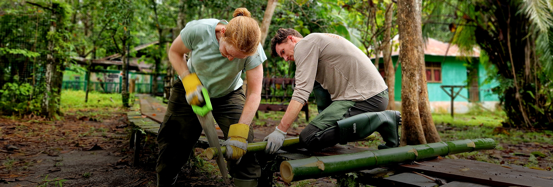 The Nyaru Menteng Orangutan Sanctuary Season is Back with a Bang