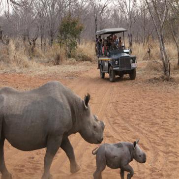 News from Nakavango