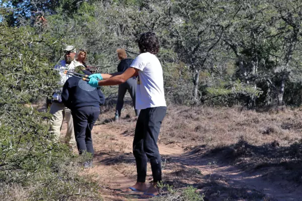 Alien Plant Control at Amakhala