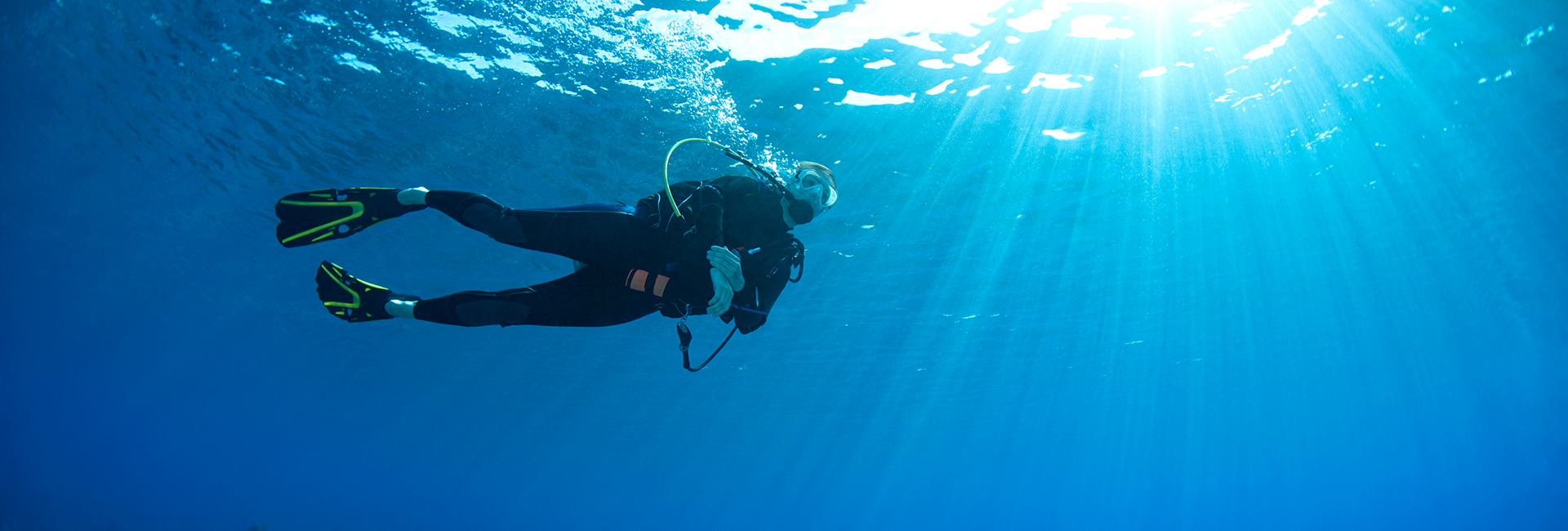 Best Marine Conservation Volunteer Programs You Can Join in 2025