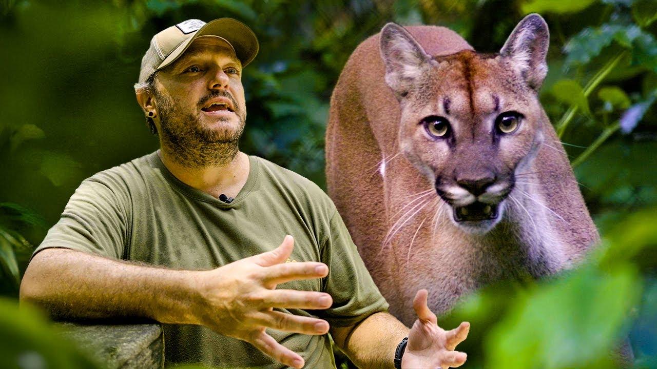 Costa Rica Wildlife Sanctuary - Review Video