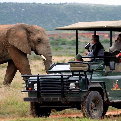 Amakhala Conservation Project