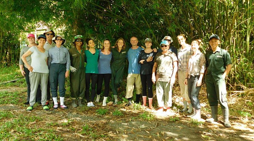 Orangutan Volunteer Review From Samboja Lestari!