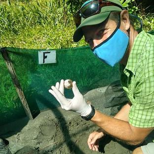 Turtle Season 2020 at the Costa Rica Turtle Conservation Experience!